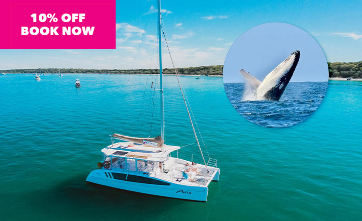 Whale Watching with Aria Cruises