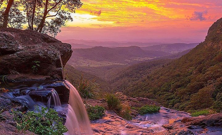 Best-Bushwalks-on-the-Gold-Coast-Lamington-National-Park-Image