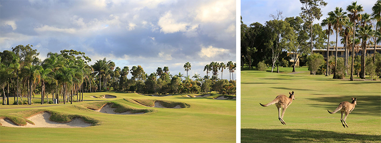 Best Golf Courses on the Gold Coast