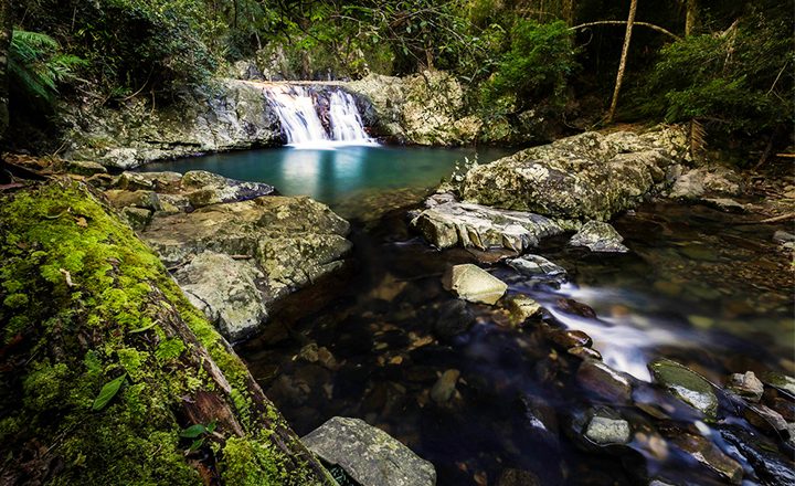 Cougal-Cascades-Connecting-Southern-Gold-Coast