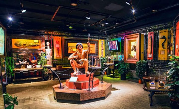 Gold-Coast-Accessible-Activities-Ripley-Believe-It-Or-Not-Image