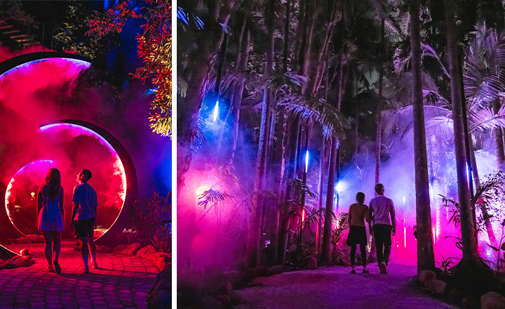 Gold-Coast-Date-Ideas-Astra-Lumina-Currumbin-Wildlife-Sanctuary