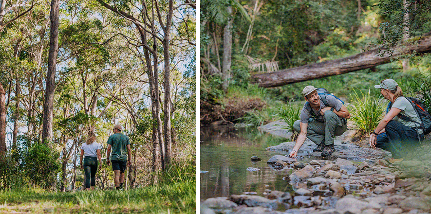 Nature trails Gold Coast