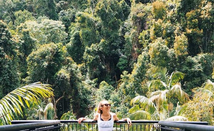 Gold-Coast-Hinterland-Tamborine-Rainforest-Skywalk-Image