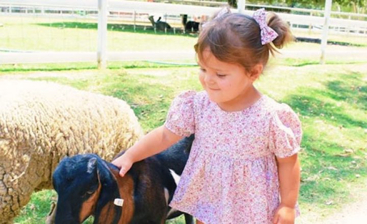 Gold-Coast-With-Toddlers-Paradise-Country-Image