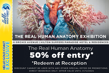 Discount Coupon – The Real Human Anatomy Exhibition