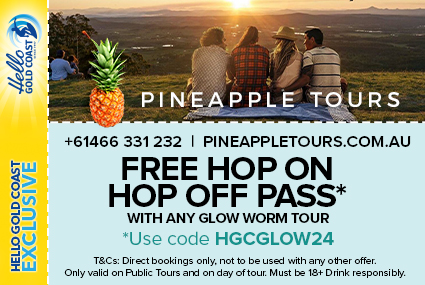 Discount Coupon – Pineapple Tours Hop On Hop Off