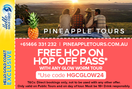 Discount Coupon – Pineapple Tours Hop On Hop Off