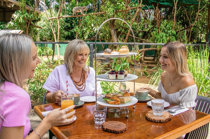 Mother's Day at Currumbin Wildlife Sanctuary