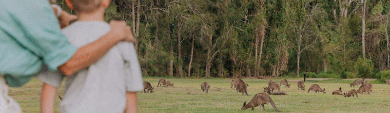 Nature trails Gold Coast