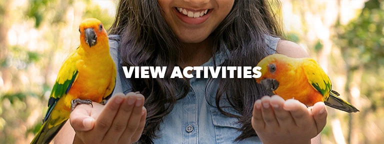 School holidays activities on the gold coast
