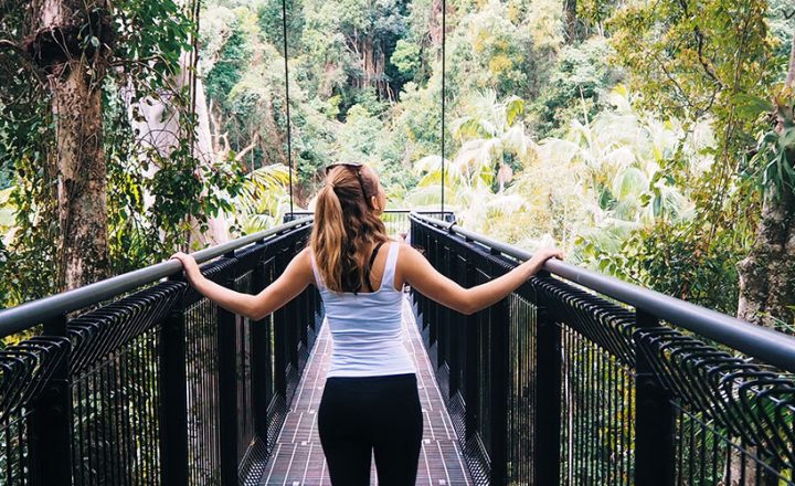 Tamborine-Rainforest-Skywalk-Banner