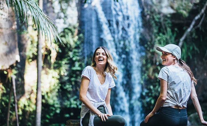 Tamborine_National_Park_featured