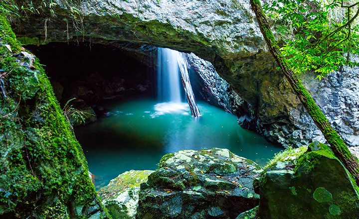 The-Natural-Bridge-Springbrook-National-Park