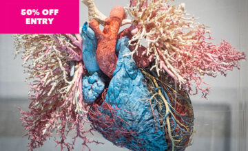 The Real Human Anatomy Exhibition