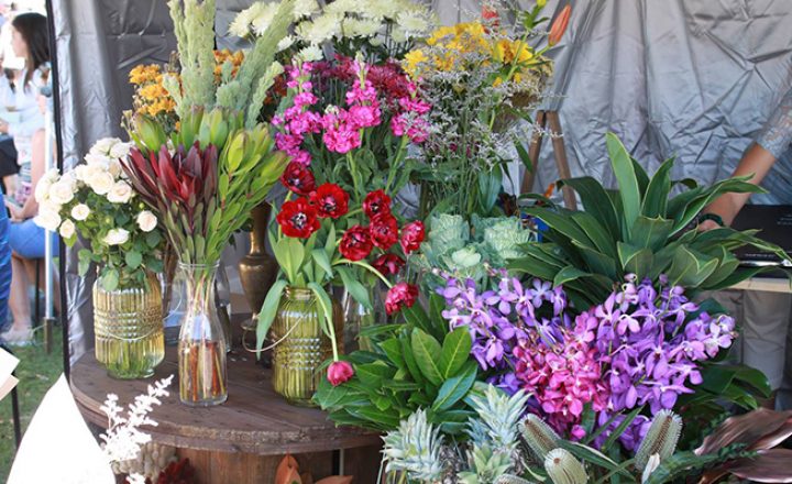 The-Village-Market-Gold-Coast-Favourite-Markets