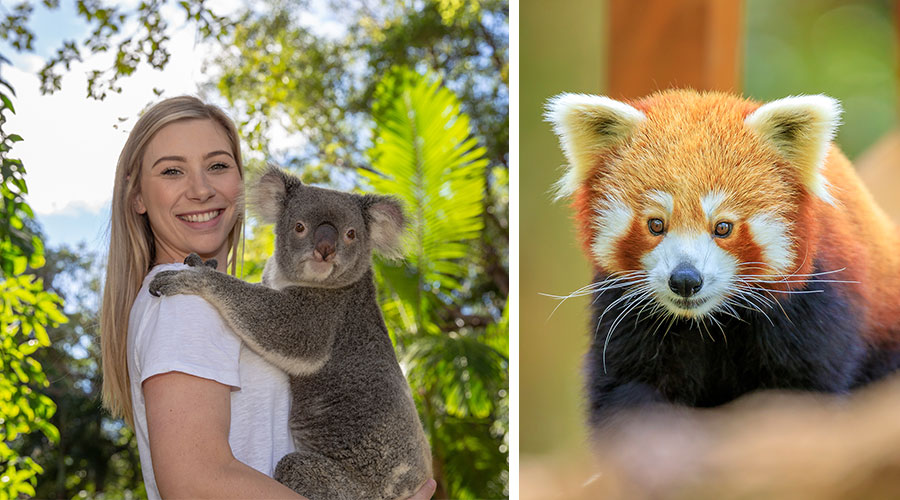 Currumbin Wildlife Sanctuary