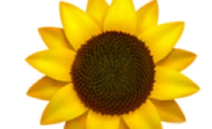 sunflower-emoji
