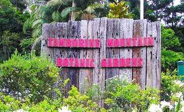 Tamborine Mountain Botanic Gardens