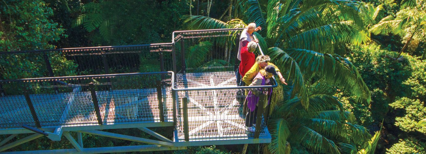 Tamborine Rainforest Skywalk Hello Gold Coast